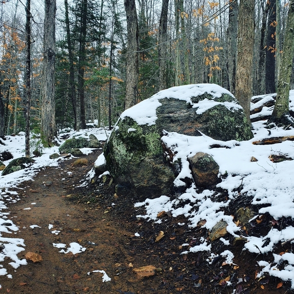 Meet your Posher, Sarah - Picture 5 of 11